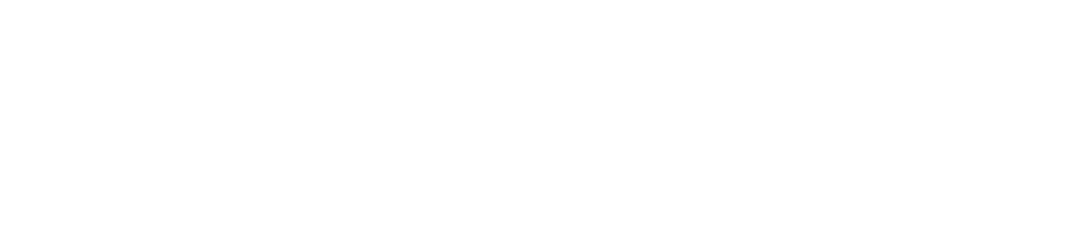 Business Driver Logo